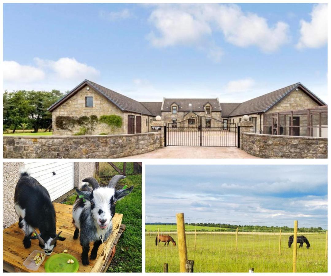 Cottage With Panoramic Views Kirk of Shotts Exterior photo